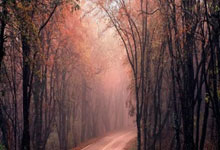 凯发娱乐：弗裏克信任年輕將領 傑拉德-馬丁談嚴苛訓練與未來.