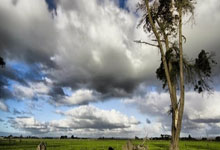 凯发娱乐：7连胜！62岁穆帅封神，68天没输球了 再批裁判：我们本可领先9分.